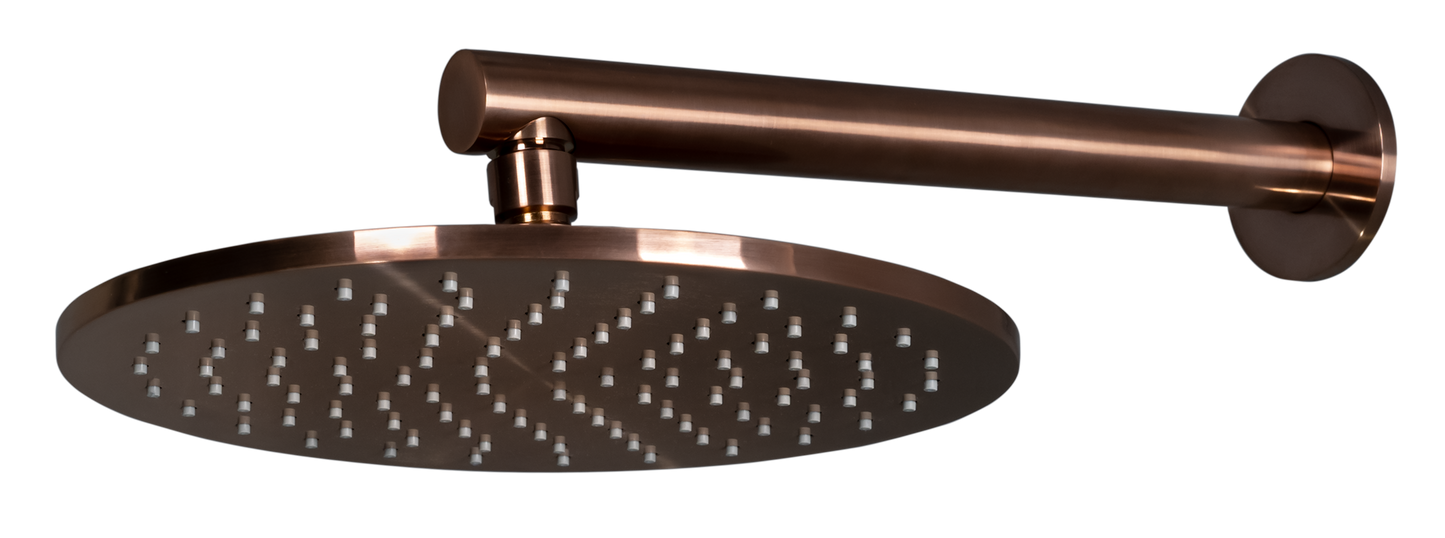 250mm Shower Rose and Wall Arm