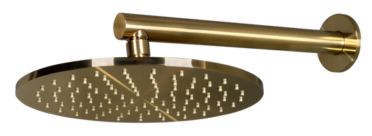 250mm Shower Rose and Wall Arm