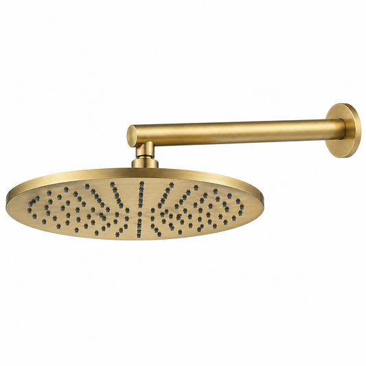 250mm Shower Rose and Wall Arm