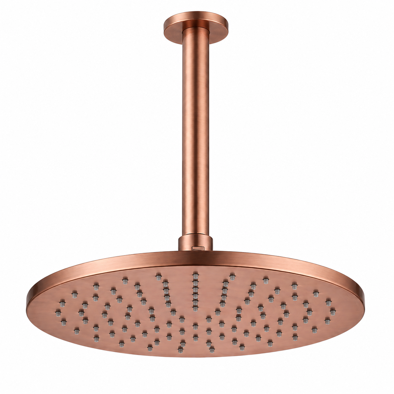 250mm Shower Rose and Ceiling Arm