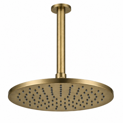 250mm Shower Rose and Ceiling Arm